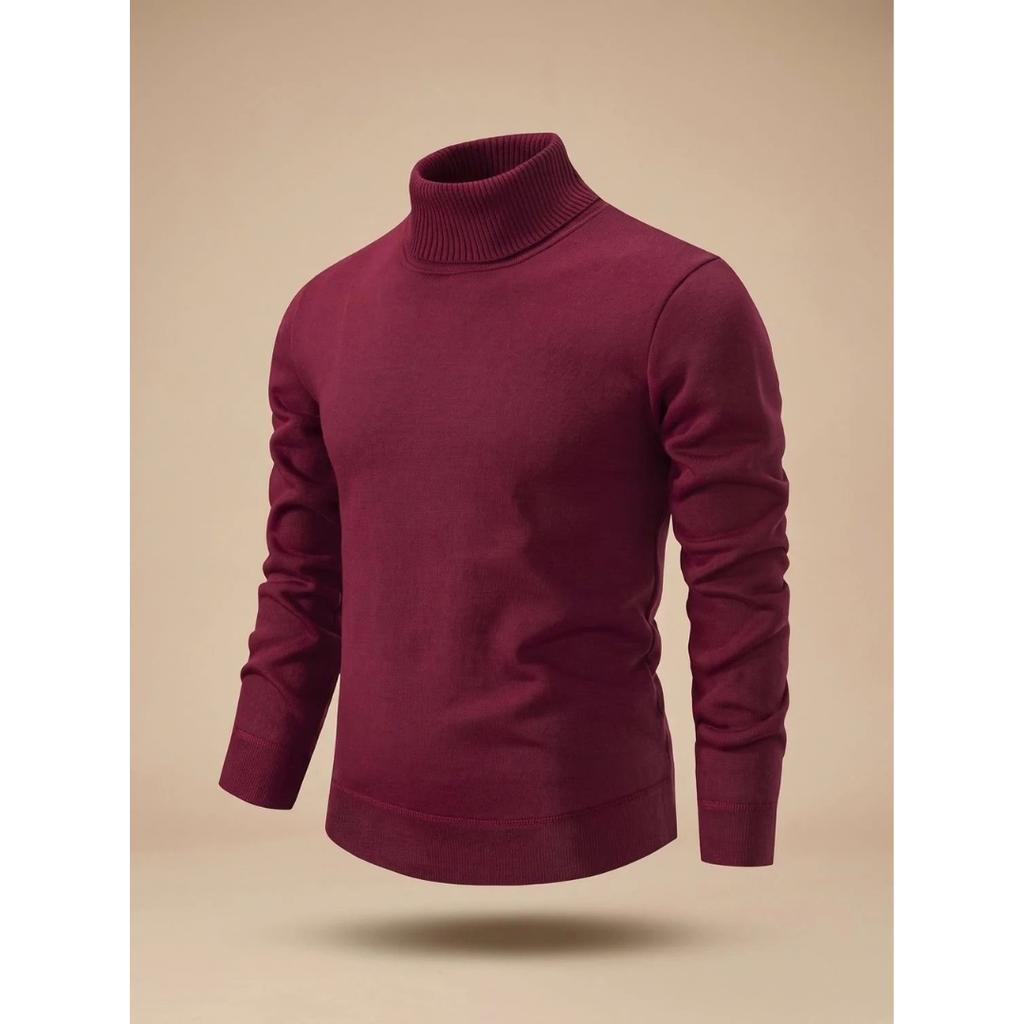 Ludwig | Herren Rollkragenpullover mit Muster und Langarm