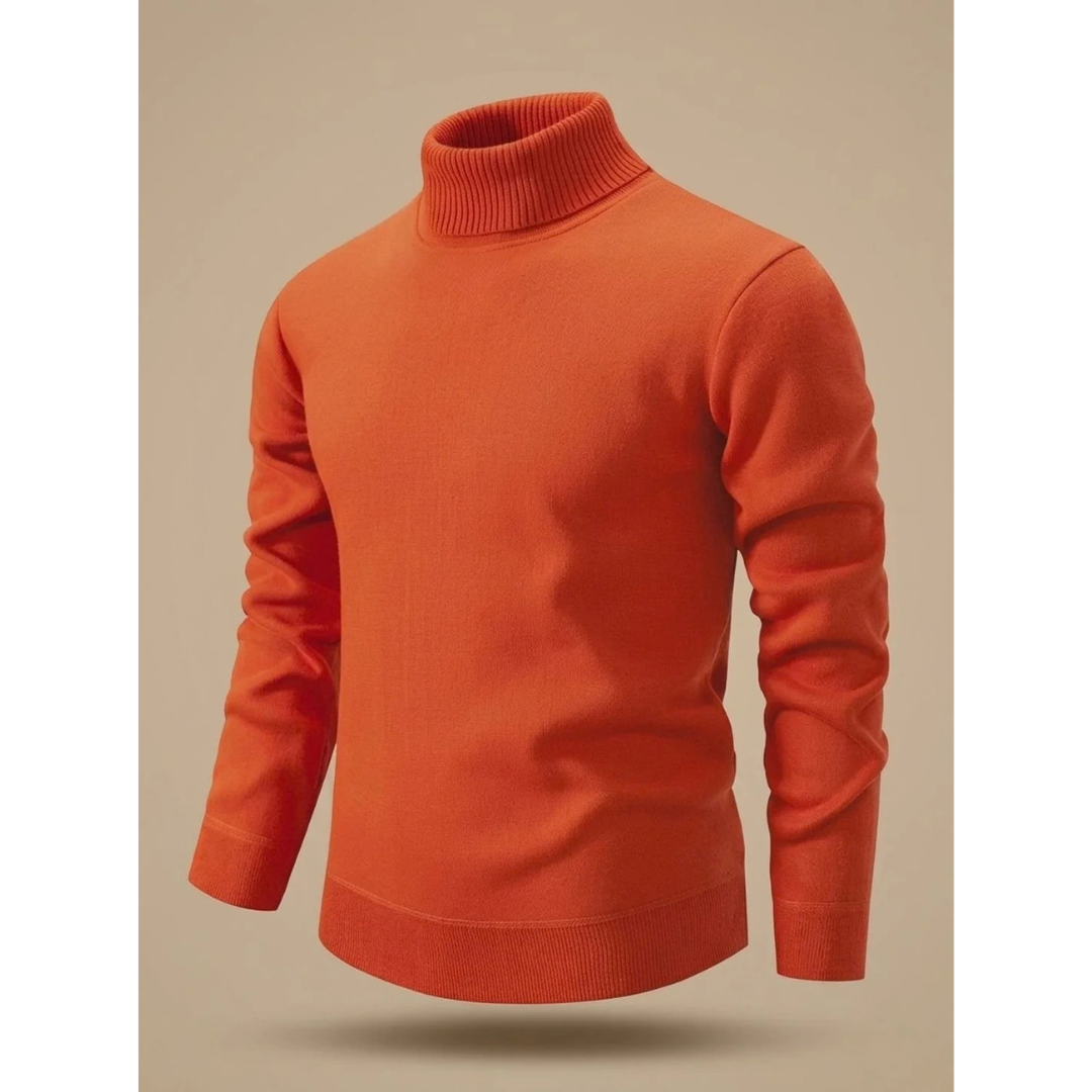 Ludwig | Herren Rollkragenpullover mit Muster und Langarm