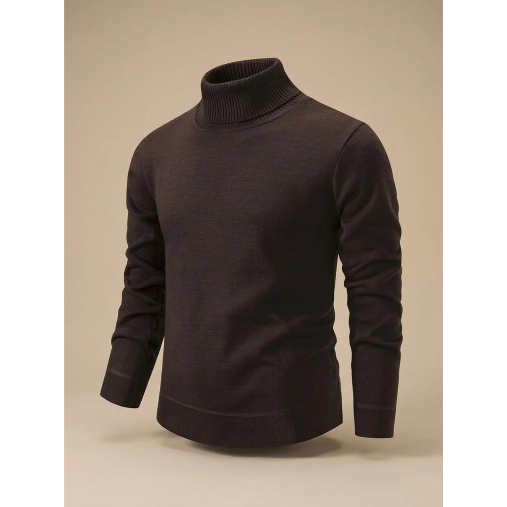 Ludwig | Herren Rollkragenpullover mit Muster und Langarm