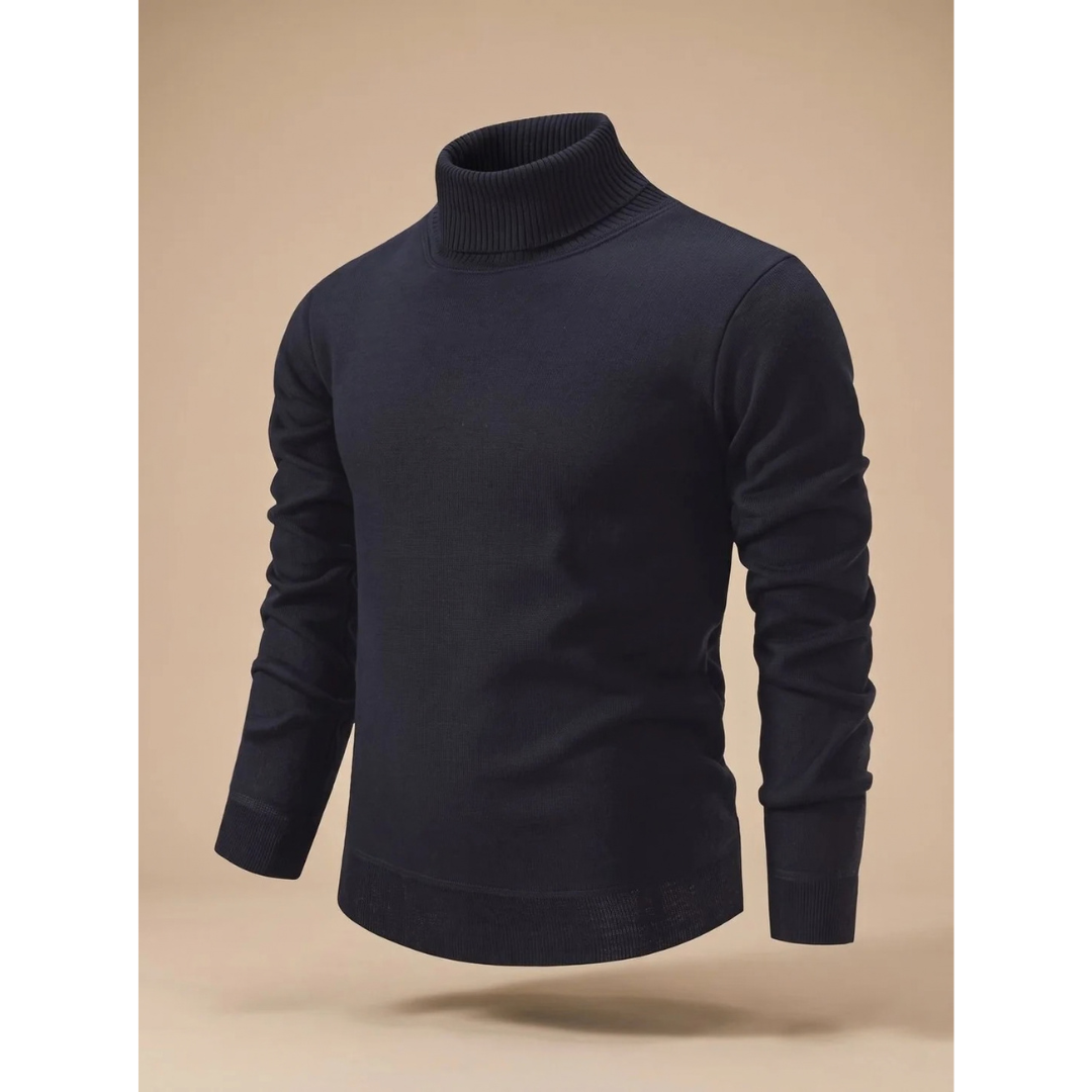 Ludwig | Herren Rollkragenpullover mit Muster und Langarm