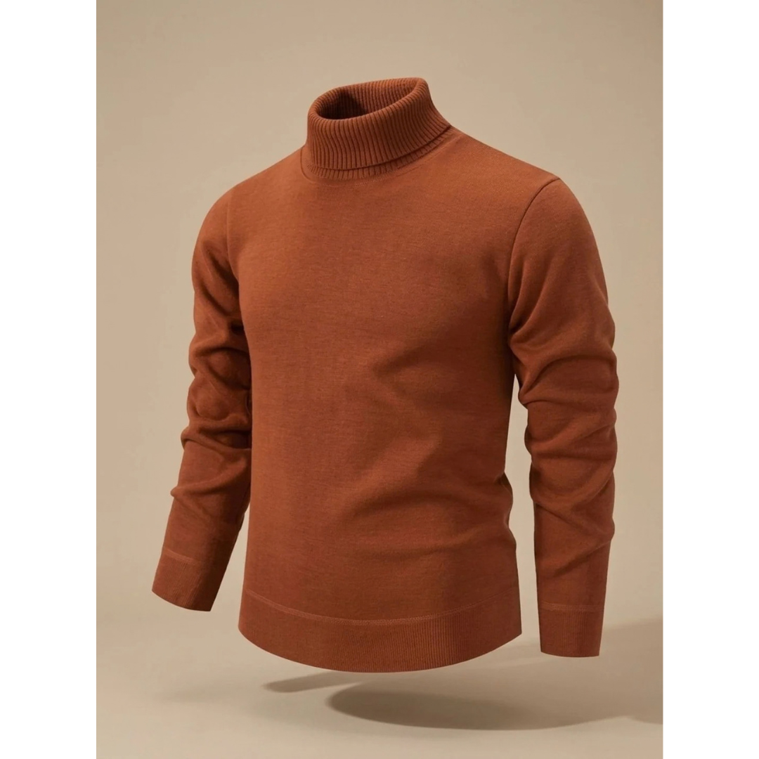 Ludwig | Herren Rollkragenpullover mit Muster und Langarm