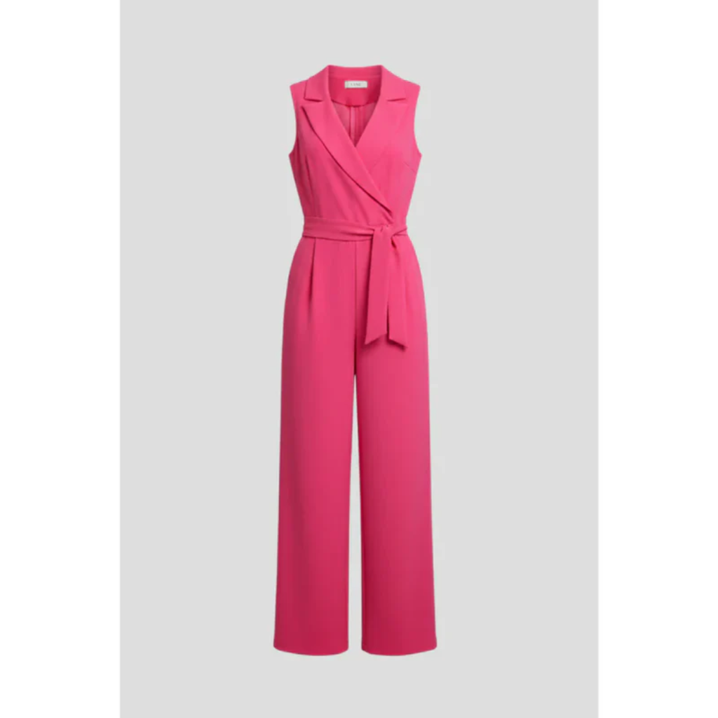 Janina | Damen Jumpsuit Für Abend Mit V Ausschnitt