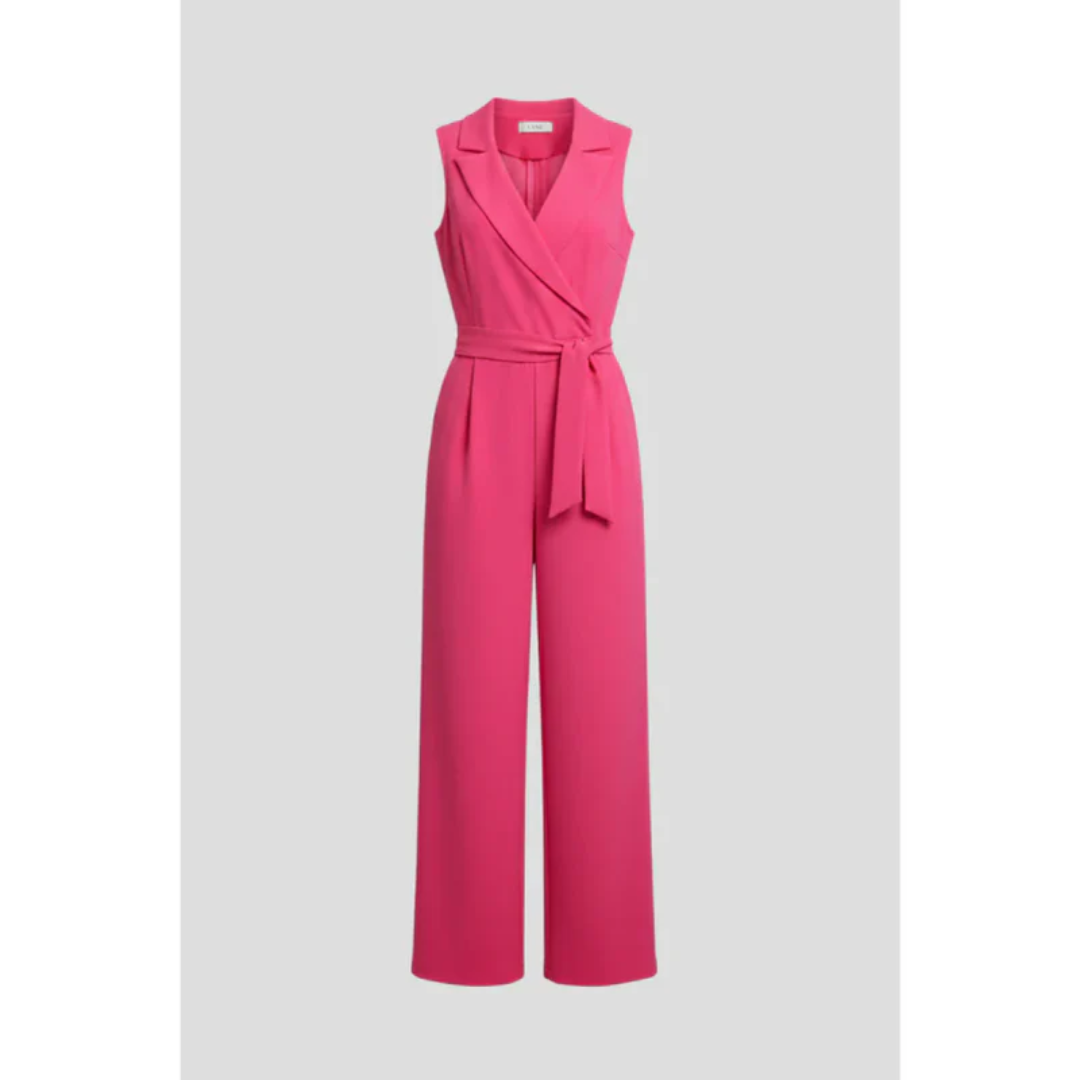 Janina | Damen Jumpsuit Für Abend Mit V Ausschnitt